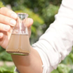 water test results