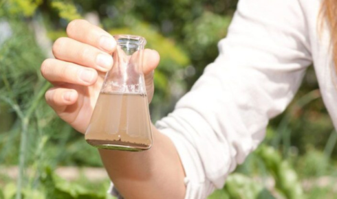 water test results