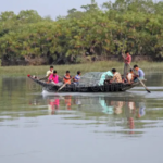 Sundarban trip